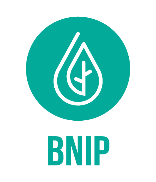 logo BNIP